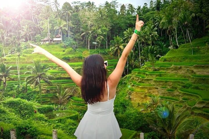 Ubud Day Trips: Waterfall, Temple, Rice Terrace, Hidden Forest — photo 1 of 15