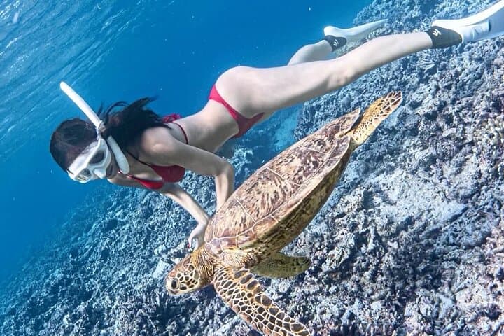 Bali Snorkeling at Blue Lagoon with Waterfall, Lunch & Transport — photo 1 of 15