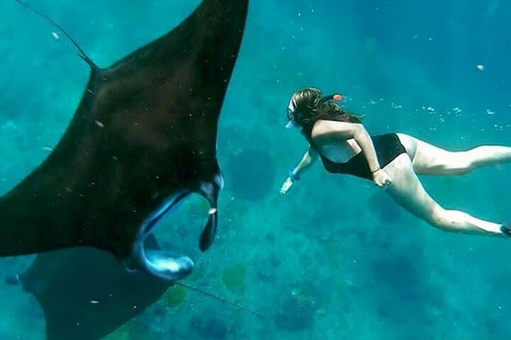Private All Inclusive Nusa Penida Snorkeling and Tour — photo 1 of 9
