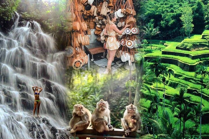 Full Day Ubud Tour Waterfall Monkey Forest Rice Terrace — photo 1 of 27