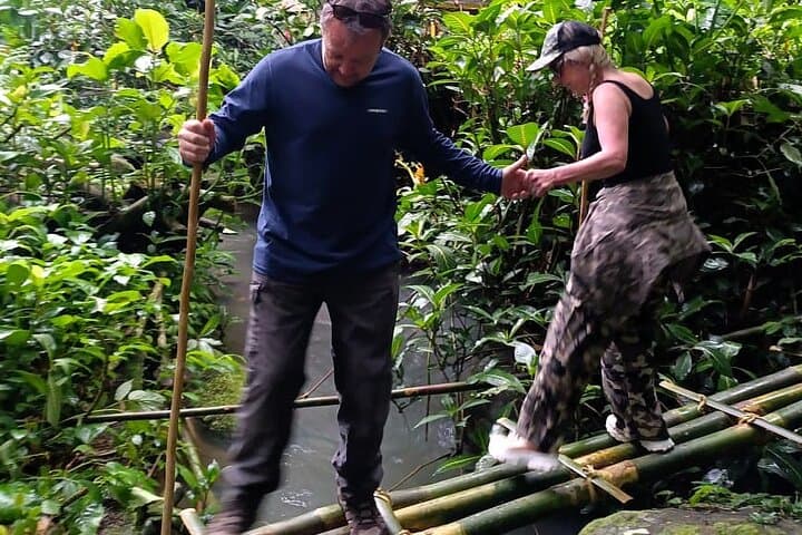 Bali’s Mystical Jungle Trek & Hidden Waterfall Adventure — photo 1 of 11