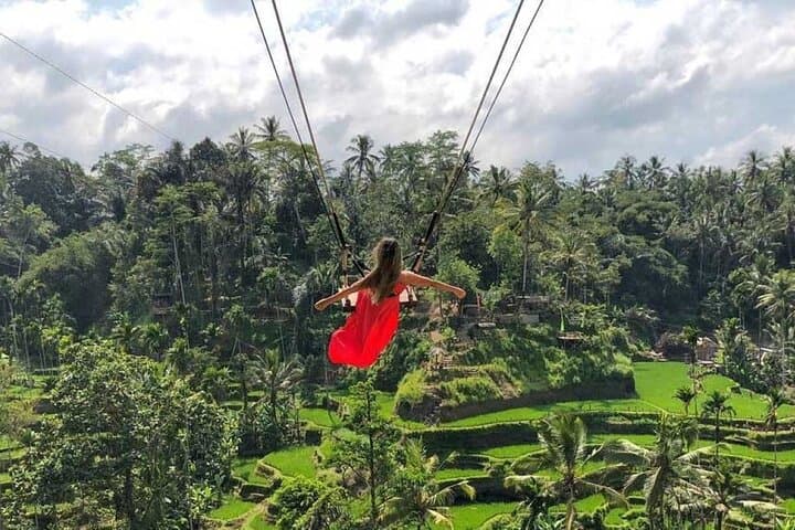 Ubud Day Tour: Monkey Forest, Rice Terrace & Tegenungan Waterfall — photo 1 of 6