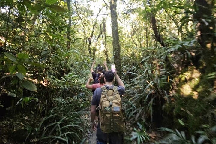 Ubud Country Side Jungle Trekking with hotel transfer — photo 1 of 3