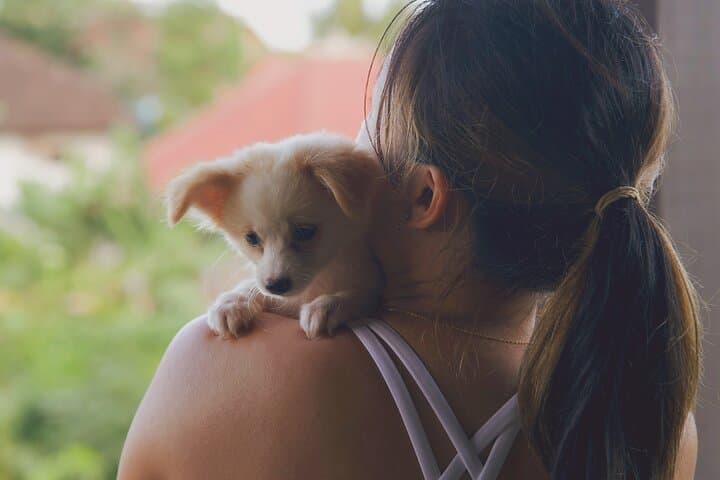 Puppy Yoga Bali, Ubud - №1 Thing to Do in Bali — photo 1 of 10