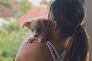 Puppy Yoga Bali, Ubud - №1 Thing to Do in Bali