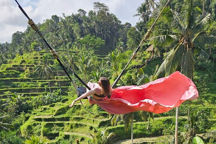 Ubud Private Full-Day Tour: Waterfall, Temples & Rice Terraces — photo 1 of 20