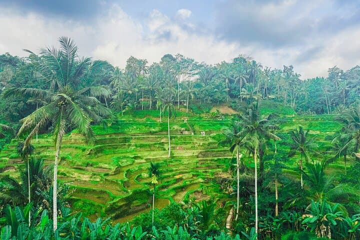 Ubud Nature, Art Making, and Experience - Customize Private Tour — photo 1 of 10