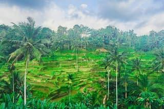 Ubud Nature, Art Making, and Experience - Customize Private Tour
