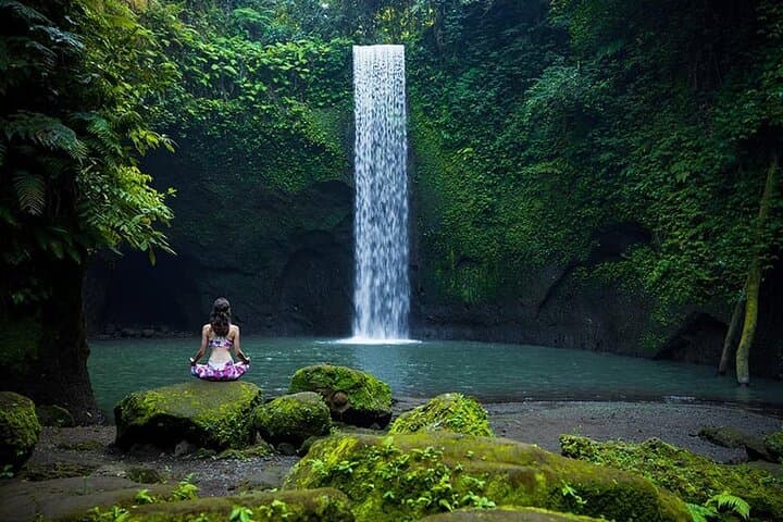 Bali Ubud Waterfall, Rice Terraces and Monkey Forest Private Tour — photo 1 of 8