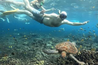 Amazing Nusa Penida Snorkeling Experience