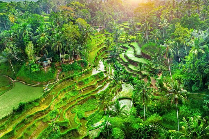 Ubud Jungle Adventure: Tirta Empul & Bali Swing — photo 1 of 6