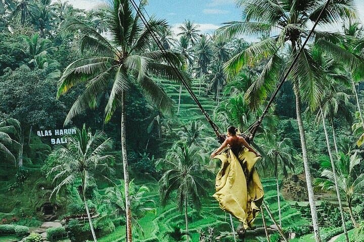 Bali Swing, Monkey Forest and Waterfall - Private Tour — photo 1 of 11