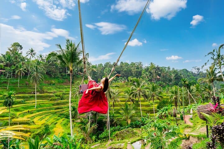 Jungle Swing, Monkey Forest, Rice Terrace and Temple Tour in Bali — photo 1 of 21