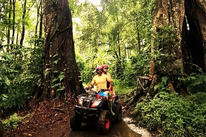Private North Bali ATV Adventure to Banyumala Waterfall — photo 1 of 6