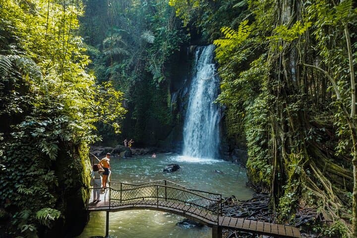 Ubud Full-Day Tour with Entry Tickets — photo 1 of 8