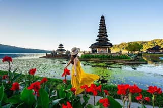North Bali Scenic Rice Terrace with Lake Temple and Waterfall