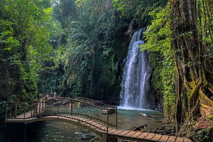 Ubud Private Tour: Monkey Forest, Falls, Temple and Rice Terraces — photo 1 of 18
