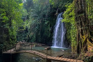 Ultimate Ubud Day Tour: Monkey Forest, Hidden Waterfall & Temple