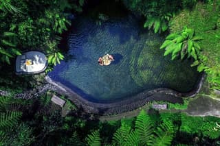 Ubud Half-Day Tour: Monkey Forest, Rice Terrace & Waterfall