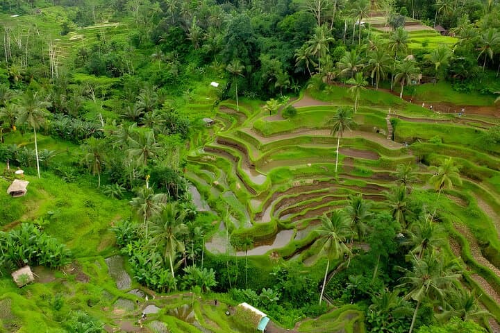 The Bali Experience: Ubud Full Day Tour — photo 1 of 13