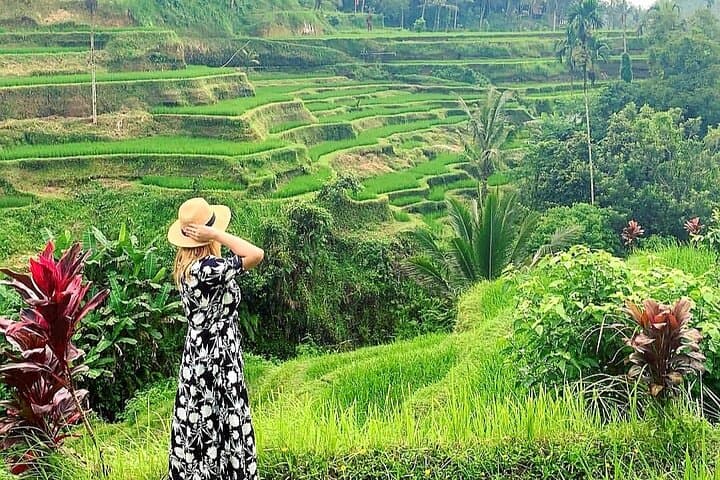 Ubud Tour - Ubud Highlight - Private Tour All inclusive — photo 1 of 10