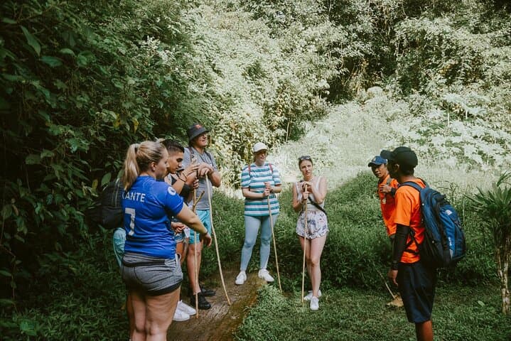 Bali Twin Lakes Jungle Trekking & Canoeing Tour from Ubud — photo 1 of 19