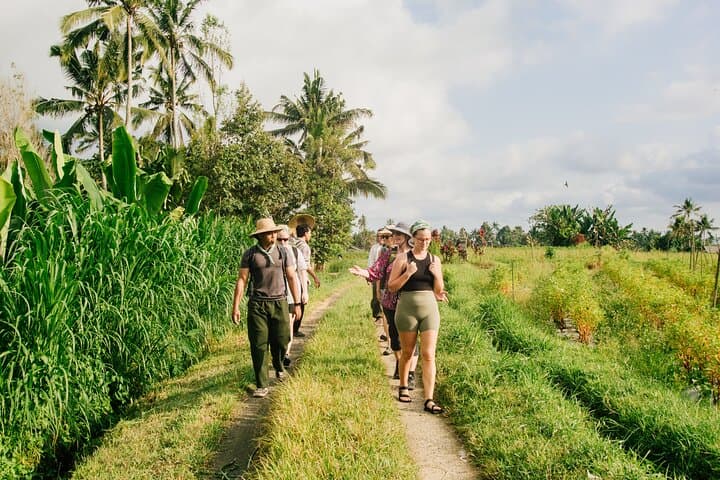 Astungkara Trail 10 Day Bali Coast to Coast Walking Pilgrimage — photo 1 of 23