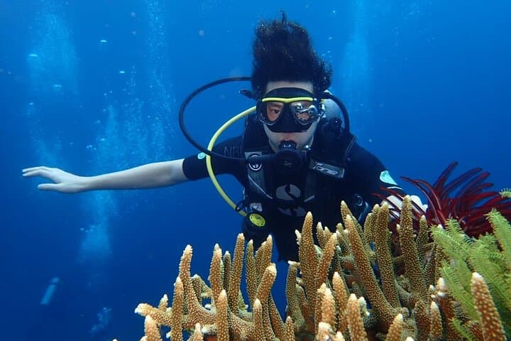 East Bali Dive Spot in Tulamben — photo 1 of 9