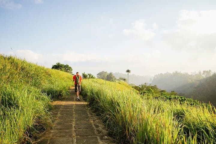 Ubud Village Walking Tour by Licensed Tour Guide — photo 1 of 5