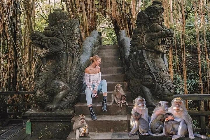 Private Ubud Tour: Monkey Forest, Waterfall & Rice Terrace — photo 1 of 19