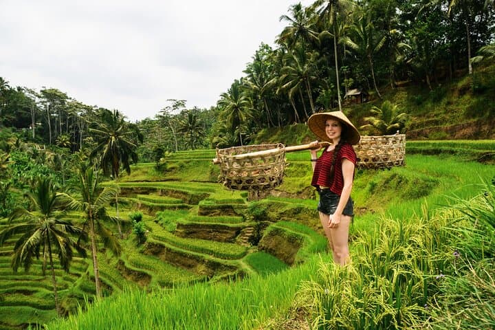 Private 1-Day Ubud Highlights Tour — photo 1 of 12