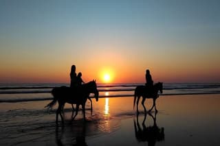 Sunset Private Horseback Riding at Kedungu Beach in Bali