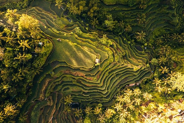 Ubud Bali Half Day Tour — photo 1 of 9