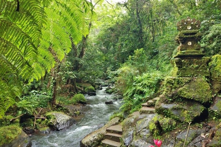 Free Private Bali Tour with Driver: Jungle Walk & Sacred Waters — photo 1 of 3