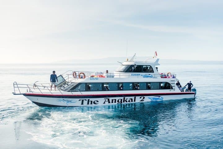 One-way Ticket Fast Boat from Sanur Bali or Nusa Penida — photo 1 of 9