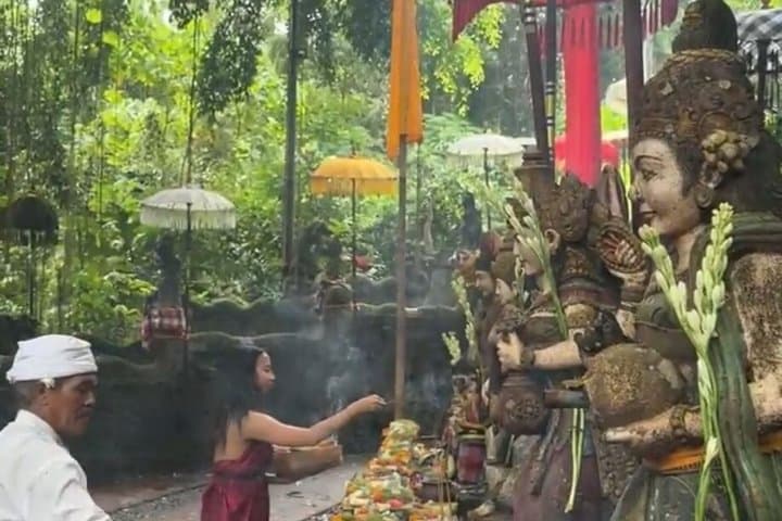 Spiritual Cleanse: Waterfall, Monkey Sanctuary, Lake, & Healing — photo 1 of 21