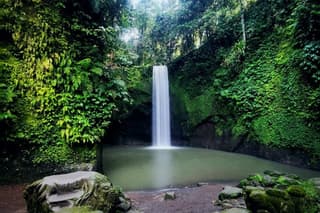 Best Ubud Highlight Waterfall All Inclusive