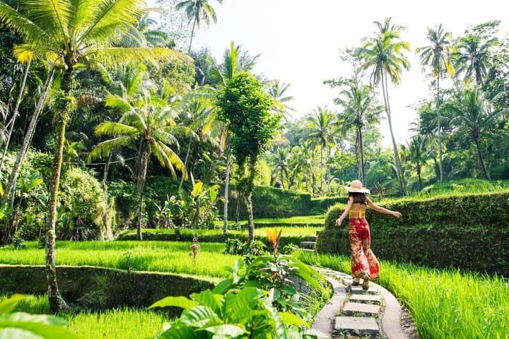Private Tour in Ubud with Lunch — photo 1 of 17