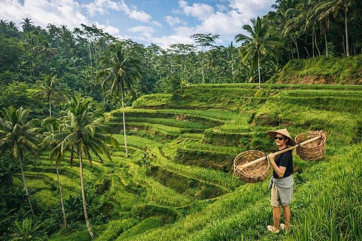 Ubud Highlights Private Tour - Temple, Rice Terrace and Waterfall — photo 1 of 10