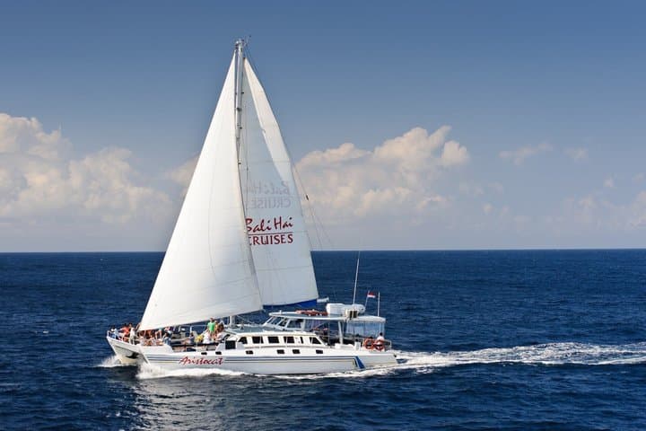 Exclusive Full Day Island Cruise from Bali to Lembongan — photo 1 of 4