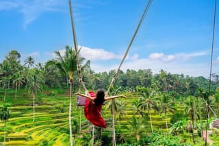 Ubud All Inclusive Private Tour and Bali Swing