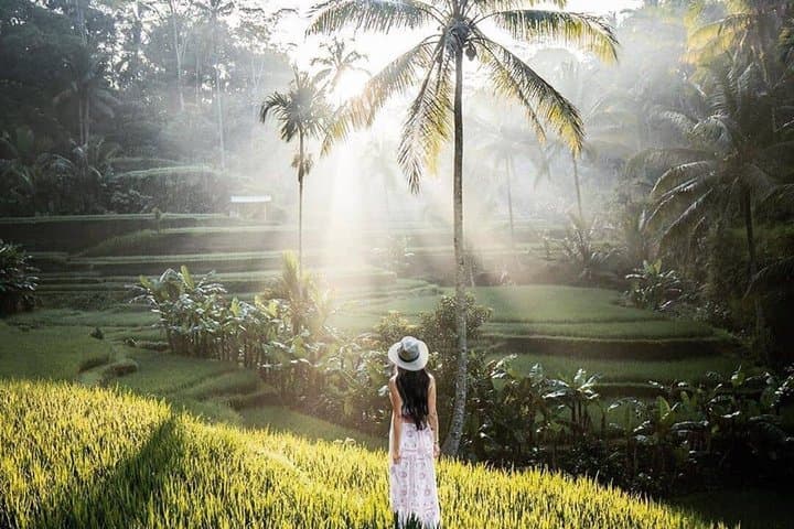 Tegalalang Rice Terrace, Monkey Forest & Waterfalls Tour — photo 1 of 19