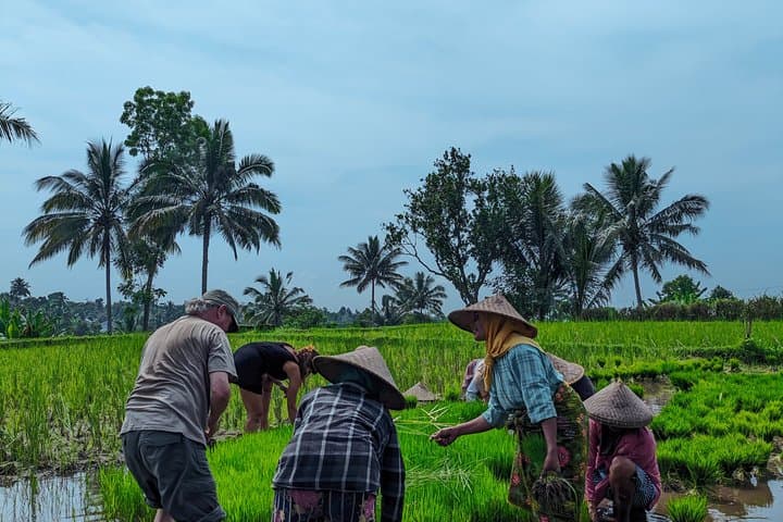 Tetebatu Walking Tour — photo 1 of 16