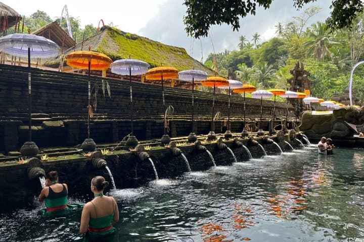 Ubud: Private Nature And Temple Tour Include Ticket — photo 1 of 16