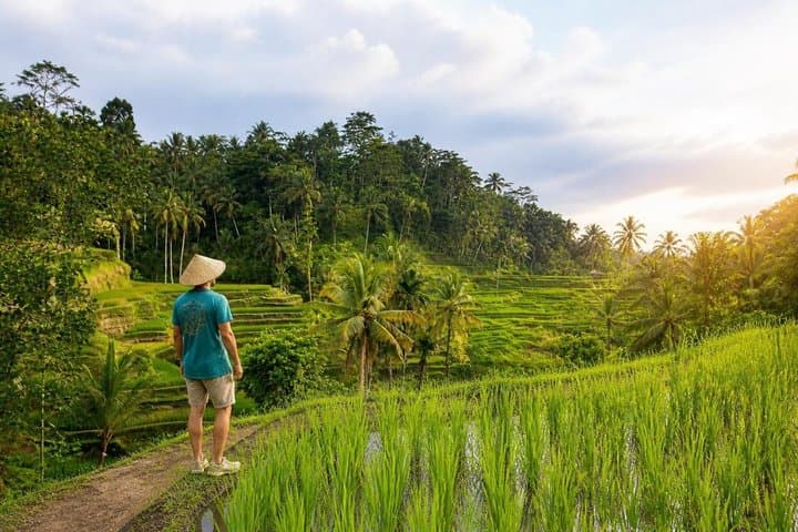 All-Inclusive Ubud Day Private Tour — photo 1 of 11