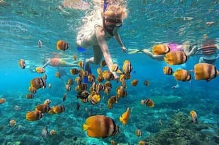 Customized Nusa Penida Snorkeling & Land Experience