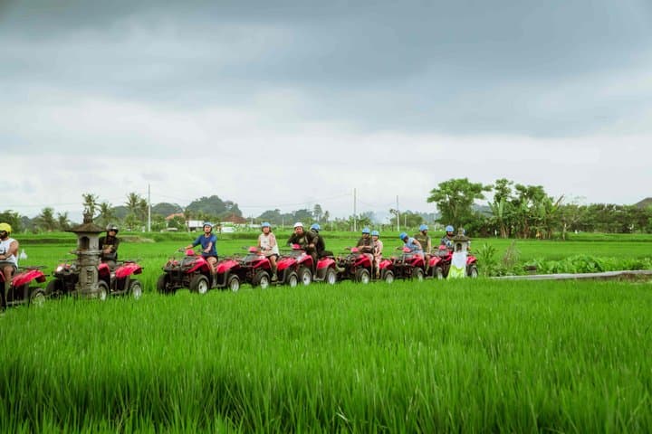 Ubud ATV Adventure with Legong Cave and Infinity Pool — photo 1 of 13
