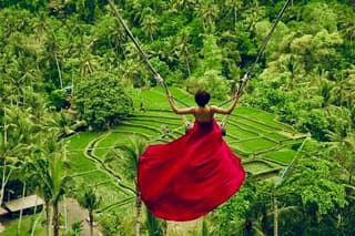 Ubud: Monkey Forest, Jungle Swing, Rice Terrace and Water Temple
