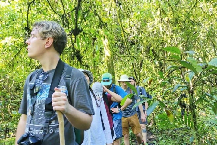 North Bali Jungle Trekking Waterfalls Experience — photo 1 of 8
