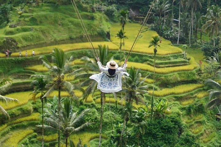 Private Day Tour In Ubud With Jungle Swing All Inclusive — photo 1 of 20